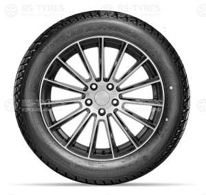 Doublestar DW01 215/60 R17 96T