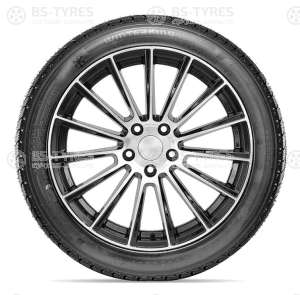 Doublestar DW02 225/65 R17 102T