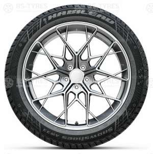 Habilead SnowShoes AW33 225/55 R16 99H