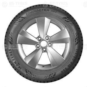 Ikon (Nokian Tyres) Character Ice 7 (Nordman 7) SUV 225/70 R16 107T
