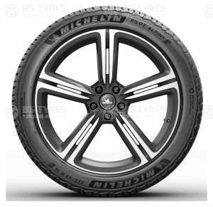 Michelin Pilot Alpin 5 MO 255/40 R21 102V