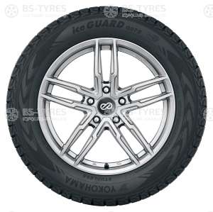 Ice Guard G075