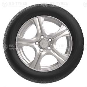 ZMax IcePioneer 868 225/65 R17 102H
